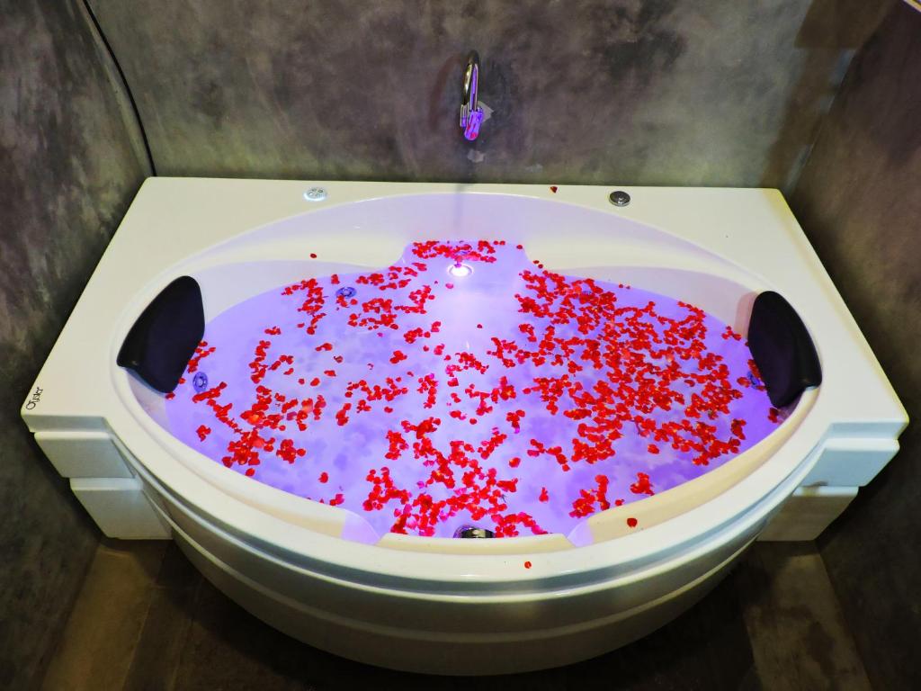 Hotel Villa Ecotiva Pondicherry with Jacuzzi in Room