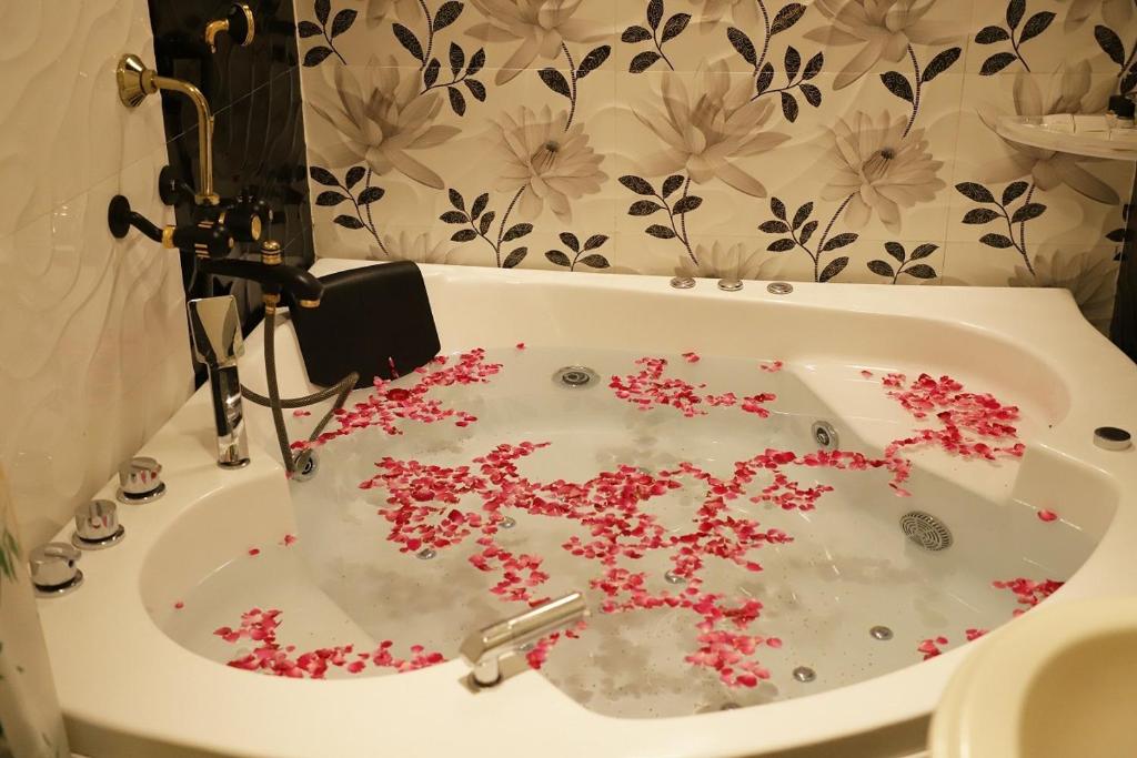 Jacuzzi Ganesha Palace Amritsar Jacuzzi Ganesha Palace Amritsar