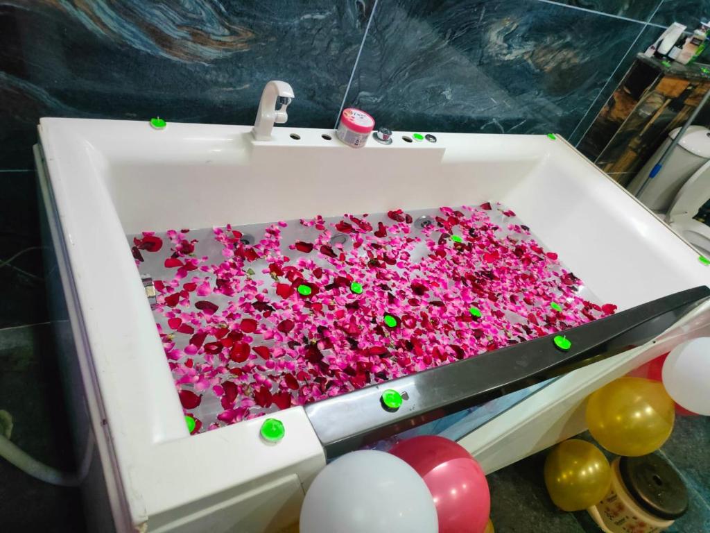 Jacuzzi Urban Homestay-Camping, Swimming Pool, Wood Cottage Zirakpur Jacuzzi Urban Homestay-Camping, Swimming Pool, Wood Cottage Zirakpur